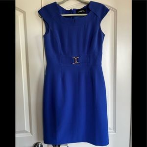 NWOT Powder Blue (last photo shows true color) Chelsea Rose Dress size 6